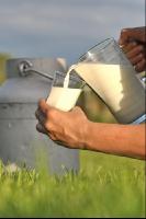 Trinkmilch 6
