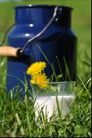 Trinkmilch 12