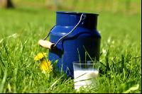 Trinkmilch 11