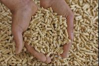 Pellets 11