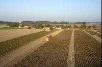 Kartoffelernte Luft 3
