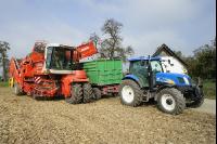 Kartoffel Ernte 67
