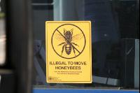 Bienen J 1