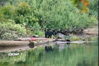 Vancouver Island J 7
