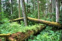 Vancouver Island J 1