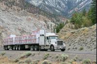 Trucks J 5
