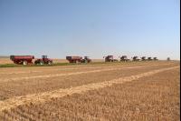 Gerste Ernte J 38