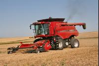 Gerste Ernte J 36