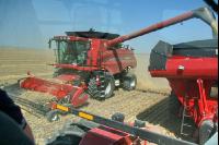 Gerste Ernte J 30