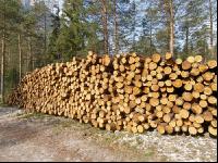 Holzlager 7