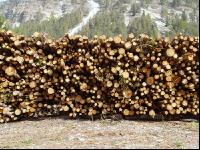 Holzlager 6