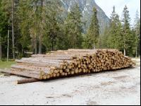 Holzlager 5