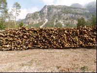 Holzlager 2