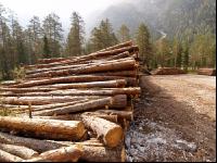 Holzlager 1