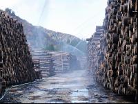 Holz Nasslager 5