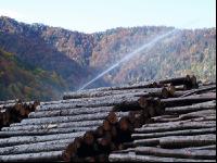 Holz Nasslager 3