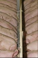 Schweine fressen 23