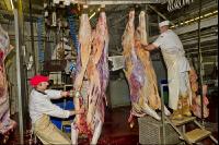 Rind schlachten 20
