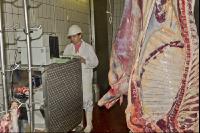 Rind schlachten 25