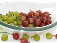 Stachelbeeren 5