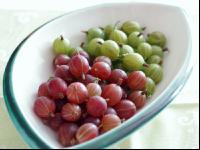 Stachelbeeren 4