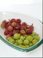 Stachelbeeren 3