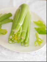 Stangensellerie 1
