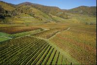 Wachau 5