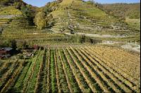 Wachau 7