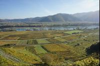 Wachau 8
