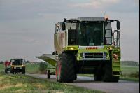 Sonnenblumen ernten J 2