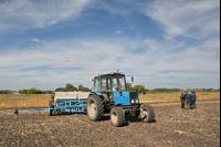 Weizen Saat J 65