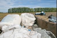 Weizen Saat J 62