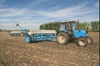 Weizen Saat J 56