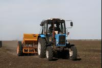 Weizen Saat J 39