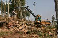 Forstarbeiten J 6