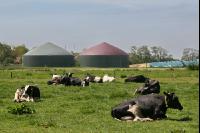 Biogasanlage J 32