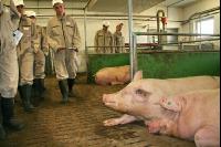 Tierhaltungslehrgang J 12