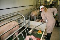 Tierhaltungslehrgang J 4