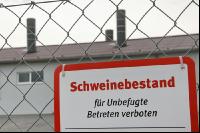 Schweinbestand J 1