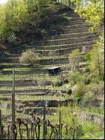 Wachau 10