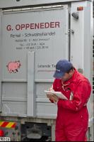 Schweine verladen 10