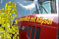 Rapsöl Treibstoff 1