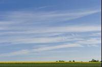 Wolken 10
