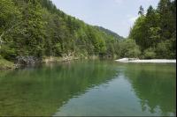 Steyr Fluss 5
