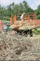 Haymaking J 3