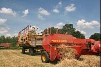 Haymaking J 1