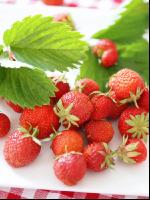 Erdbeeren 7