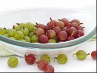 Stachelbeeren 6