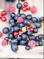 Beerenmix 10